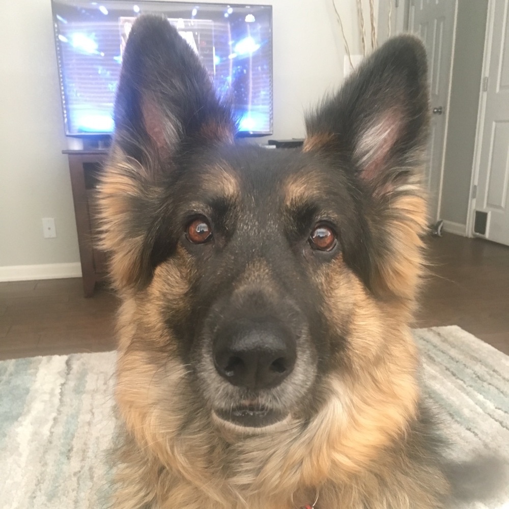 Meet your Posher, Tera